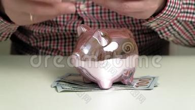 猪银行粉红色的猪。 投资和商业。 人与金钱